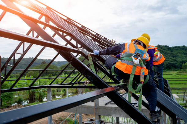 Best New Roof Installation  in Frederickson, WA